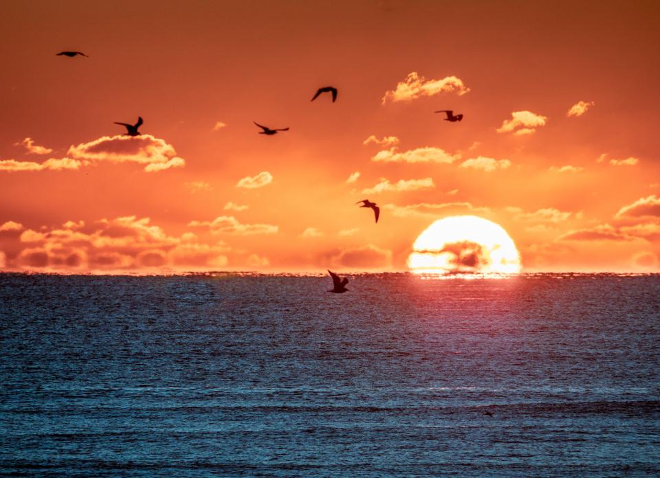 Atlantic Sunrise - Plum Island | Shutterbug